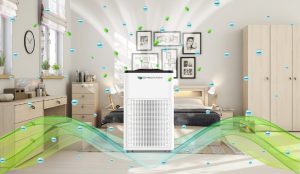 Should you buy an air purifier for family use?