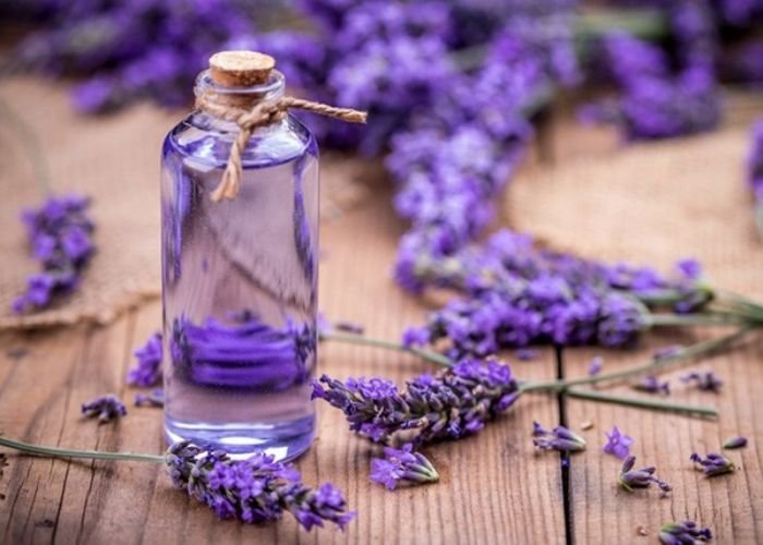 Massage with Lavender Essential Oil for Anxiety Relief