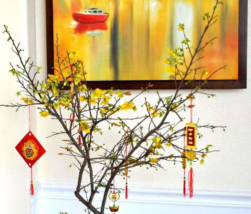 [Answered] Answer: What Flowers to Display for Luck and Prosperity During Tet?