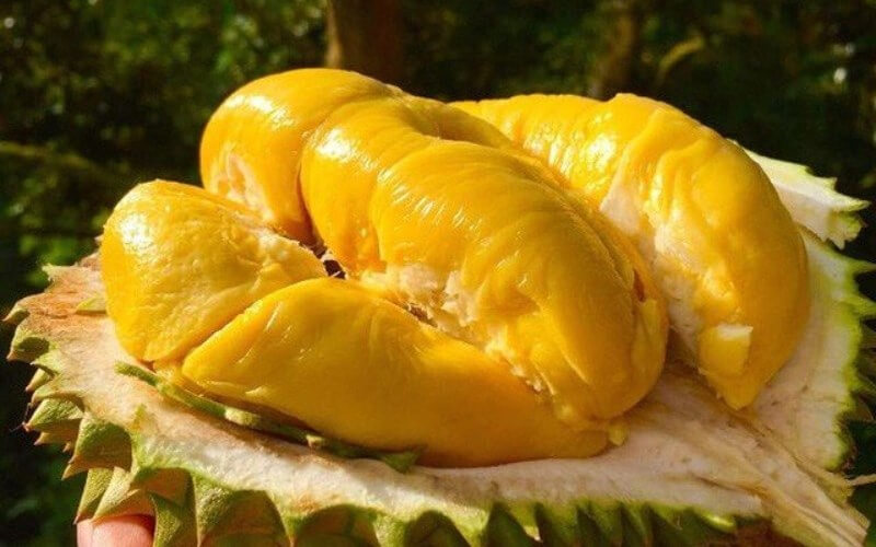 What Are the Health Benefits of Eating Durian?